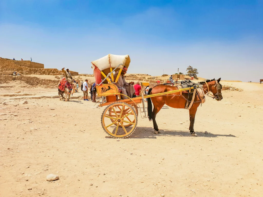 Full-Day Cairo Highlights Tour
