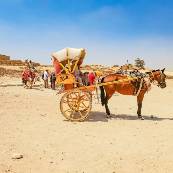 Full-Day Cairo Highlights Tour | Pyramids, GEM & Khan El-Khalili