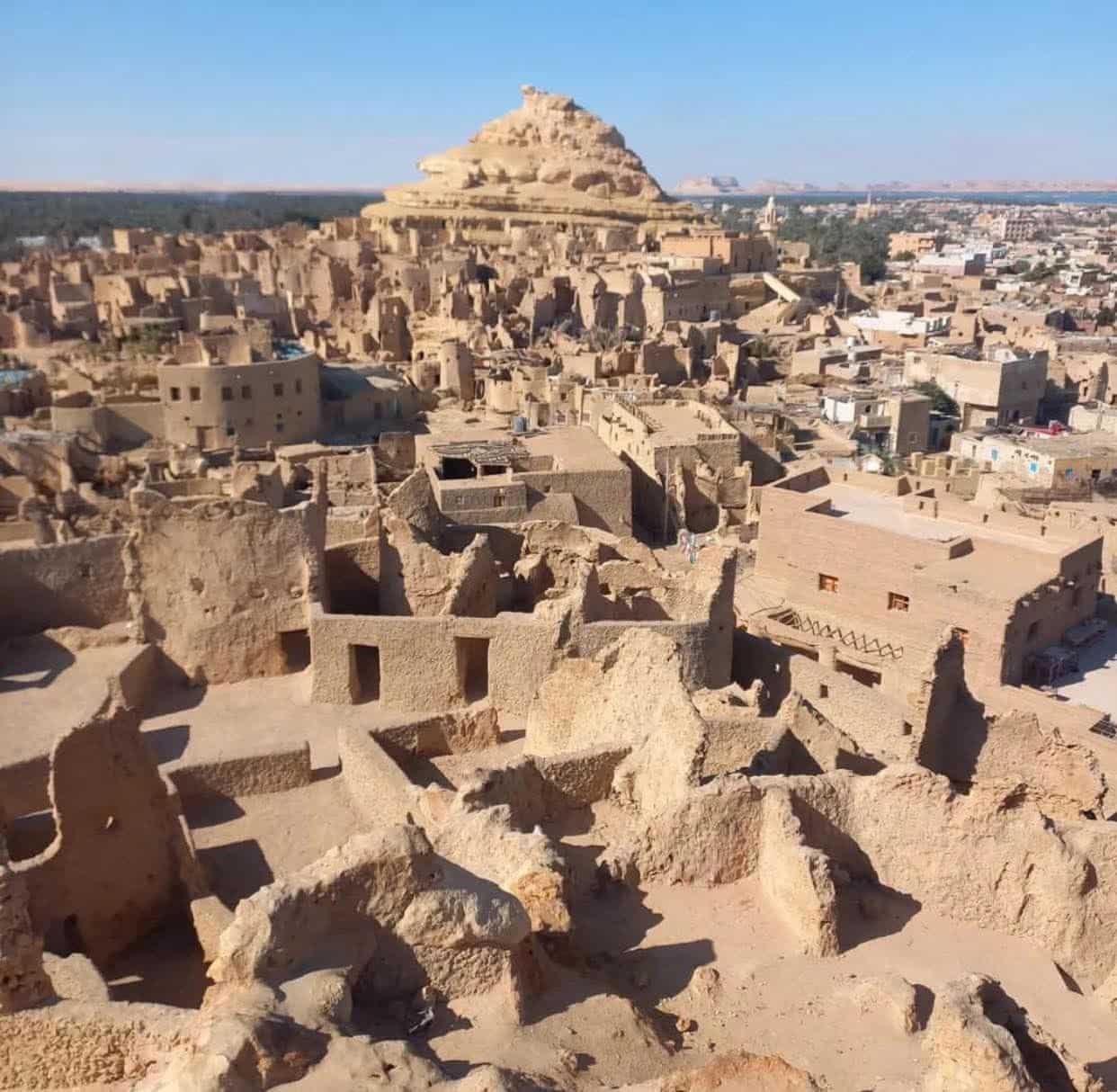 Private safari tours in Egypt