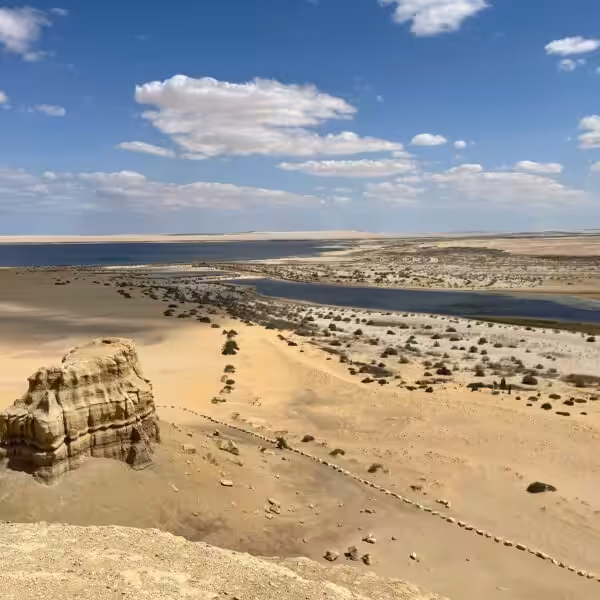 Fayoum desert and lake safari tour in Egypt