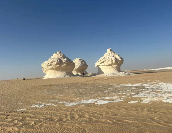 Bahariya Oasis Hotel Stay & Desert Safari from Cairo