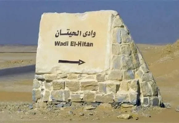 Fayoum Safari Day Trip from Cairo | Wadi El Rayan & Wadi Al-Hitan