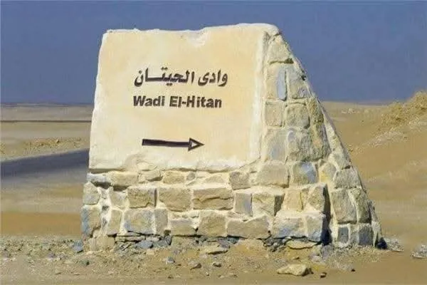 Fayoum Safari Day Trip from Cairo | Wadi El Rayan & Wadi Al-Hitan