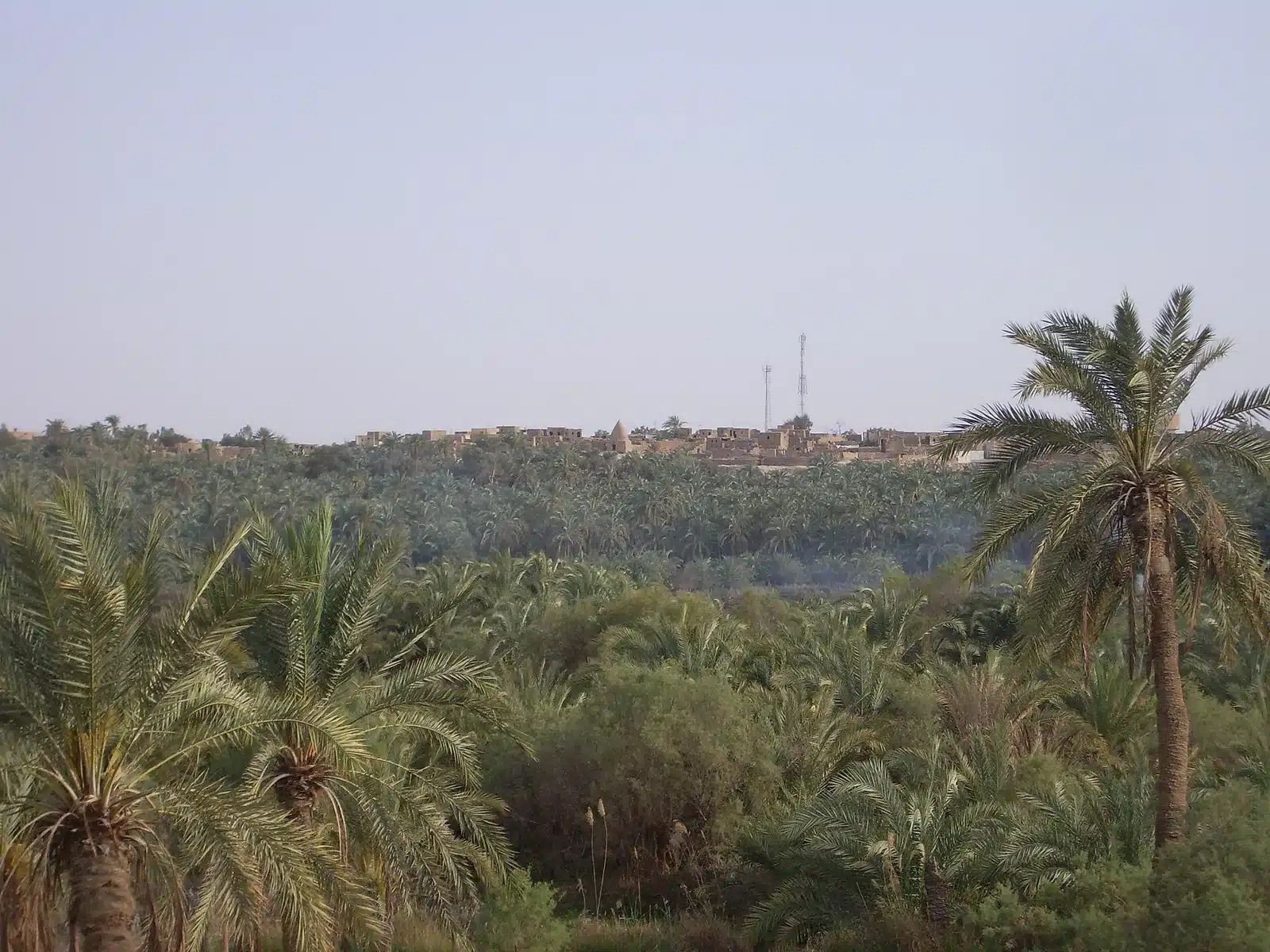 Bahariya village and date palm groves seen during a tour from Cairo