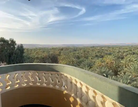 Bahariya Oasis Tour from Cairo: Day Trip, Overnight & Cost