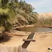 Stone-lined warm pool at Bir Wahed among palms near Siwa Oasis