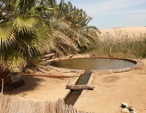 Siwa Hot Springs: Bir Wahed & Natural Springs Guide (2026)