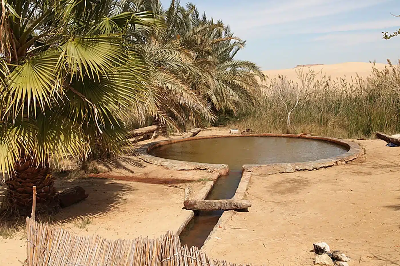 Stone-lined warm pool at Bir Wahed among palms near Siwa Oasis