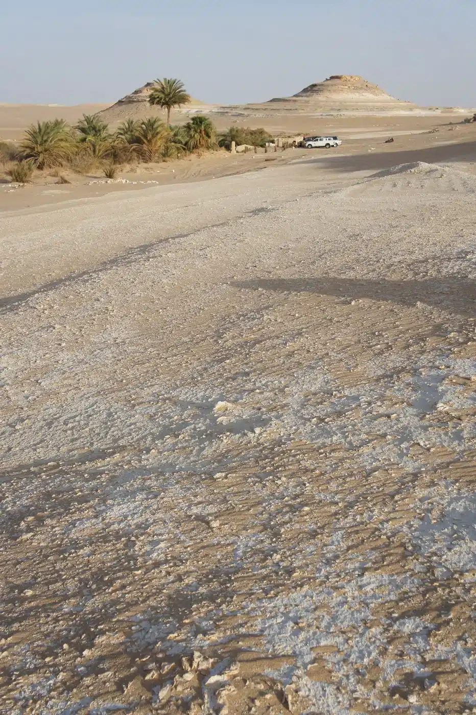 Textured limestone ground on the hill beside Bir Wahed hot spring in Siwa