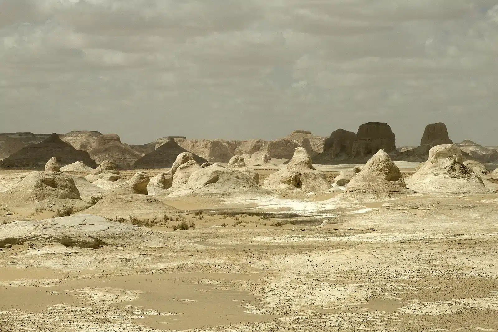 White Desert formations reached from Cairo