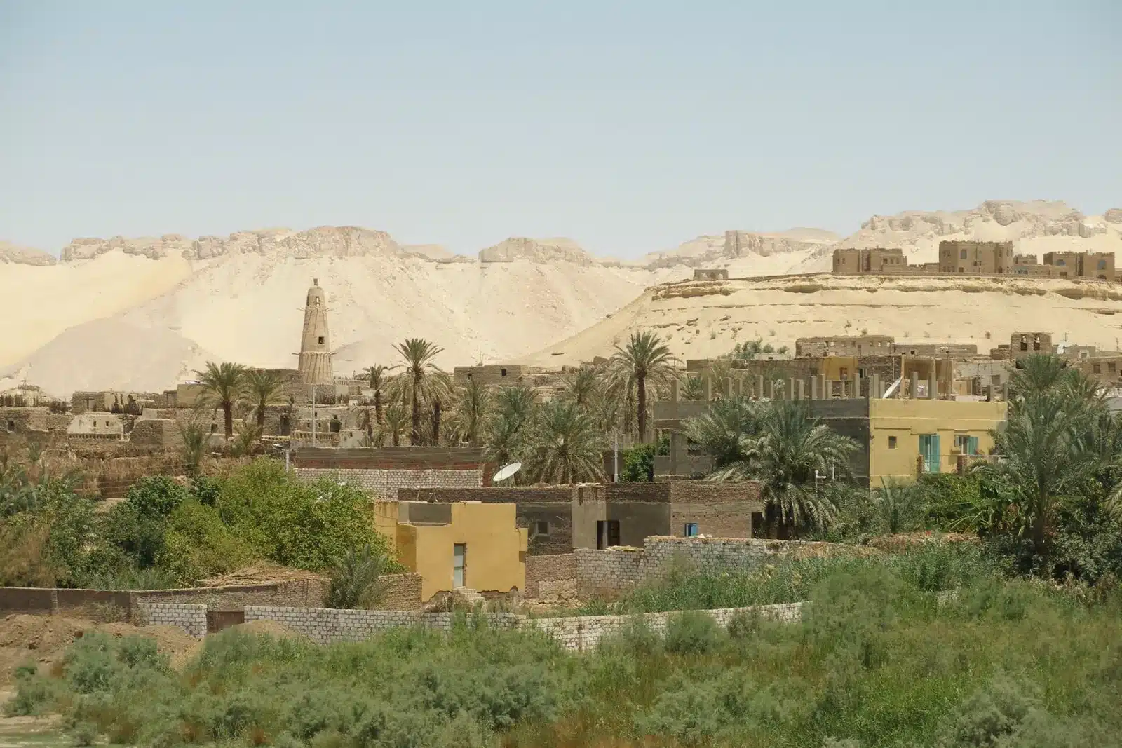 Dakhla Oasis Egypt landscape and palm groves