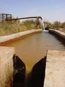 Natural spring near Farafra Oasis Egypt