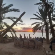 Fatnas Island Siwa sunset cafe beneath palm trees beside Lake Siwa