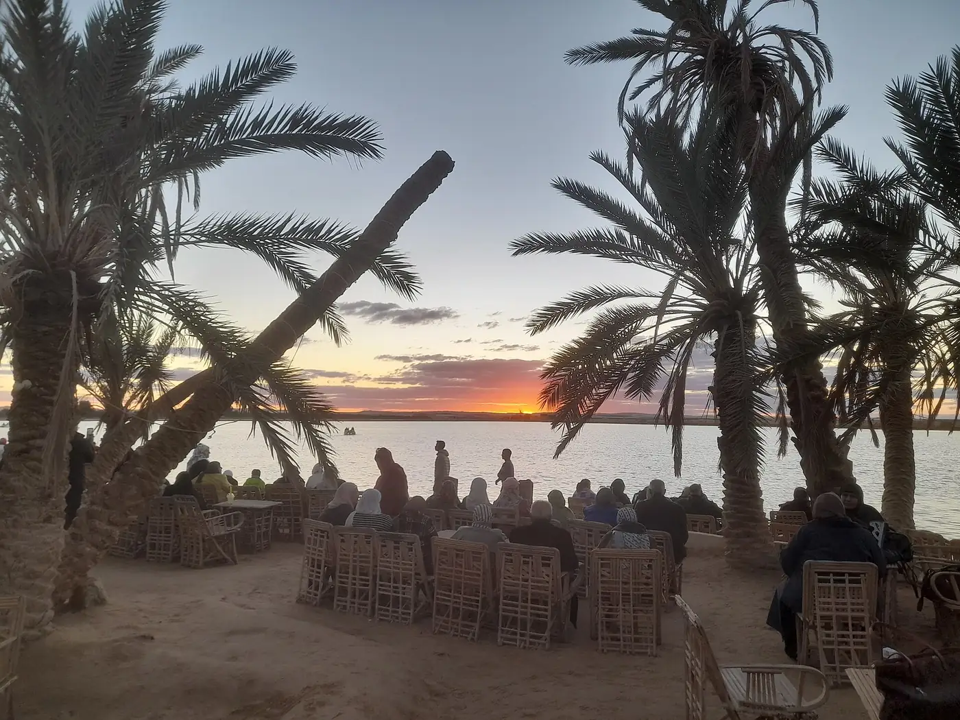 Fatnas Island Siwa sunset cafe beneath palm trees beside Lake Siwa