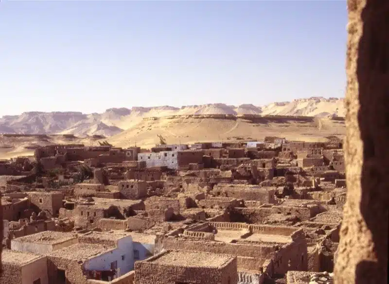 Kharga Oasis Egypt landscape and palm agriculture