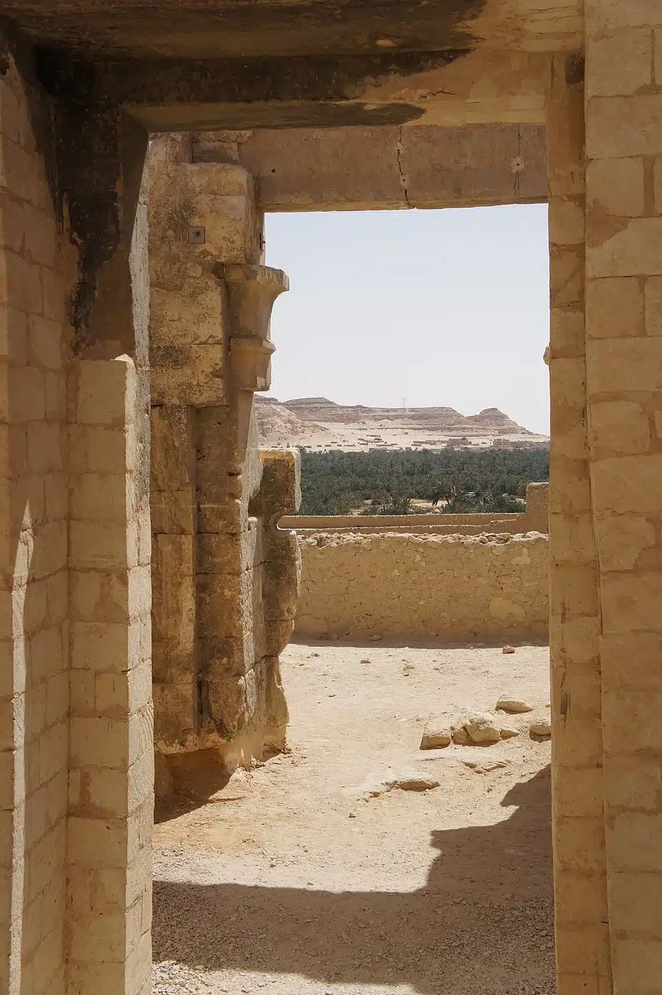 View across Siwa Oasis from the Oracle Temple at Aghurmi