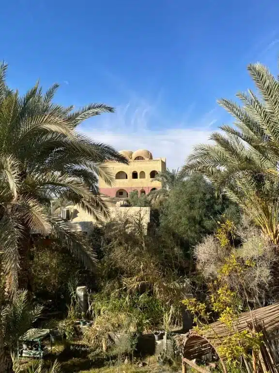 Safari Camp Bahariya among oasis palms