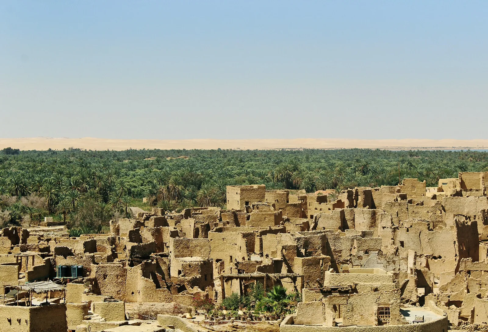 Shali Fortress ruins beside the palm groves of Siwa Oasis