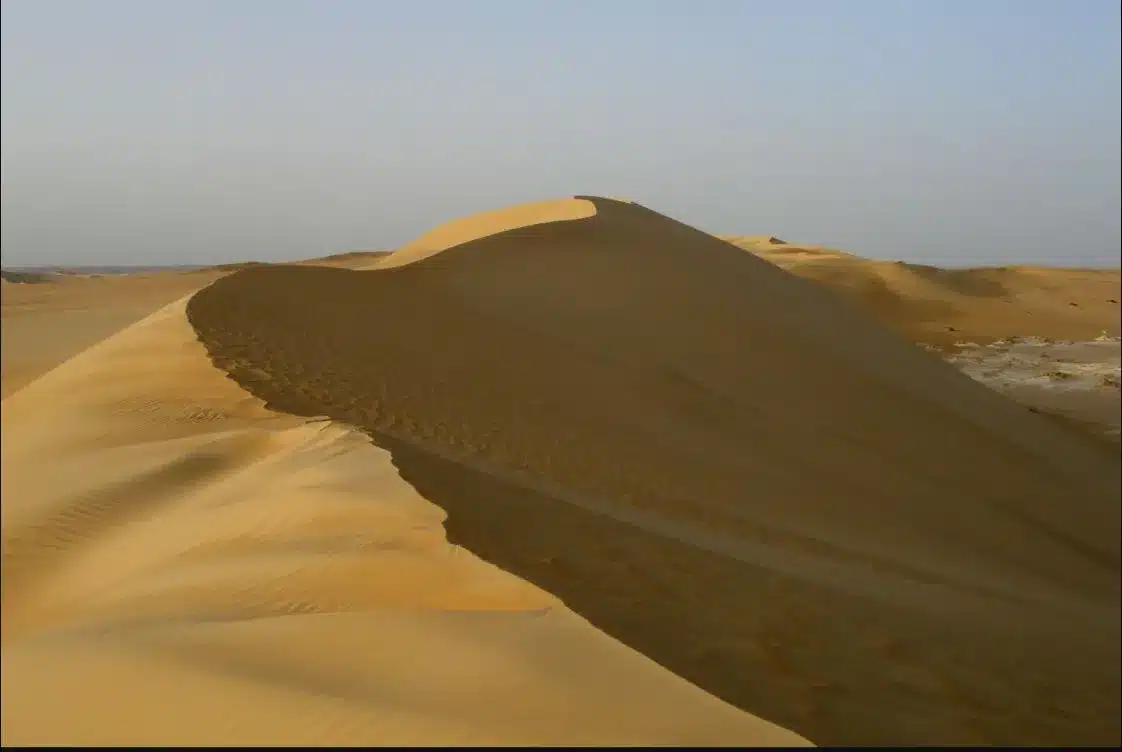 Golden dune ridge on a Siwa desert safari in Egypt