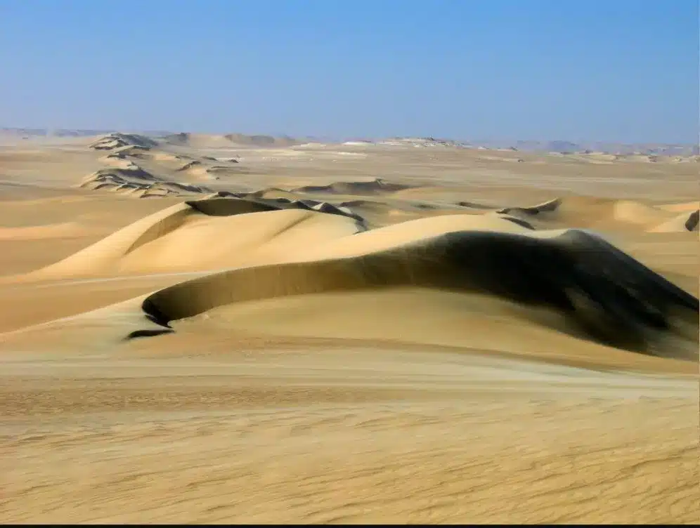 Panoramic dunes of the Great Sand Sea southwest of Siwa Oasis