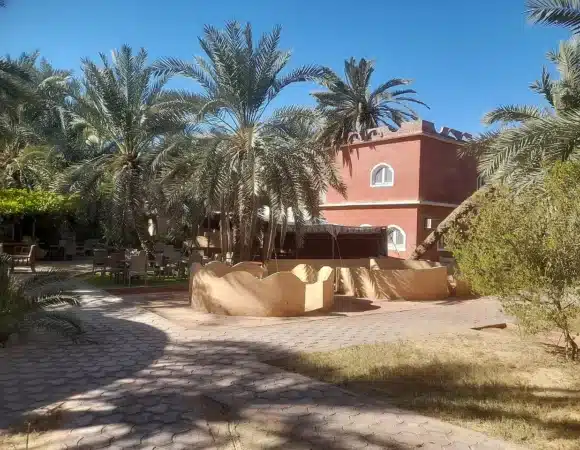 Siwa Oasis Hotels: Where to Stay, Best Hotels & Eco-Lodges