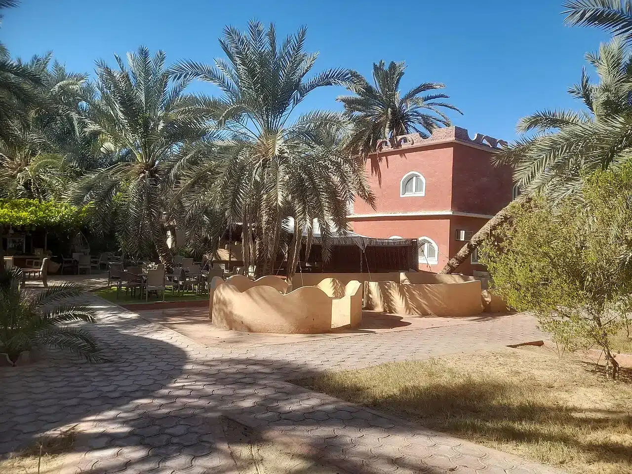 Siwa Oasis hotel surrounded by date palms in Egypt