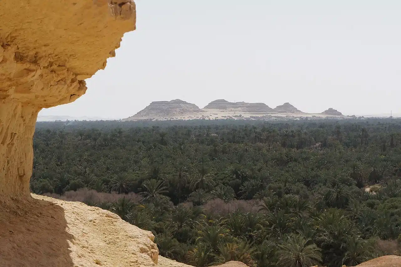 Siwa Oasis palm grove and desert mountains near eco-lodge areas
