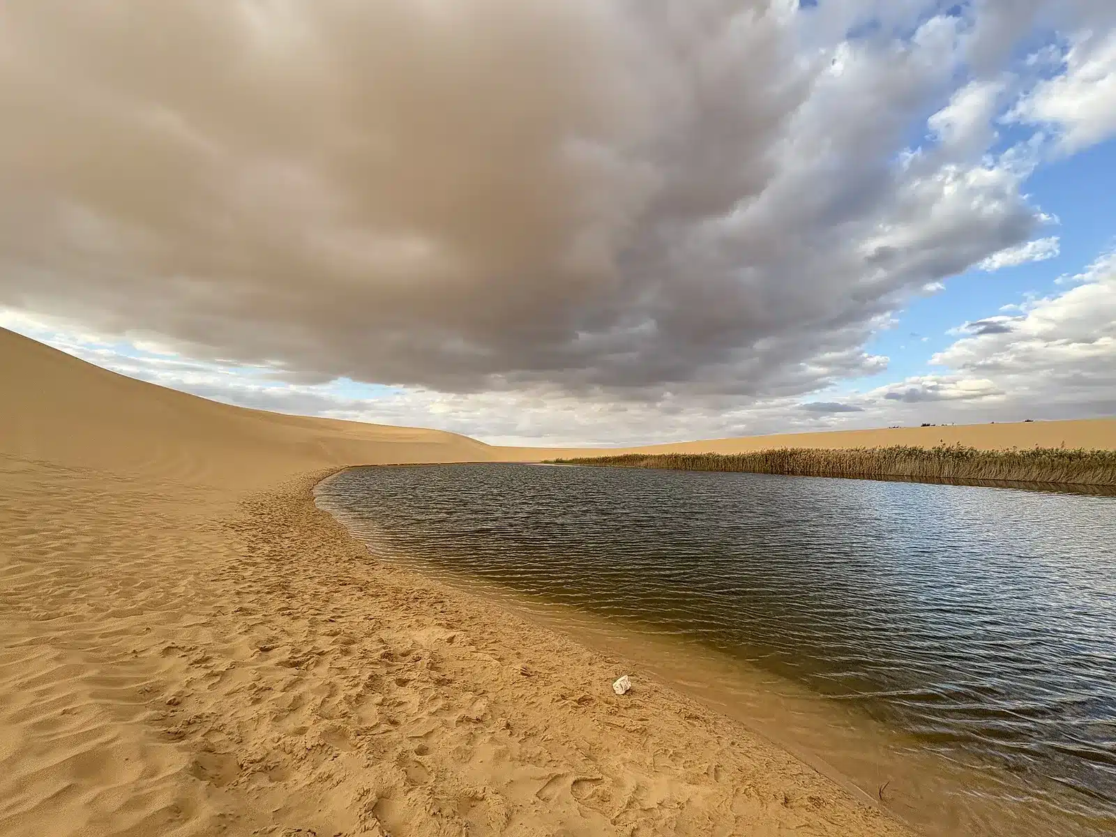Great Sand Sea dunes and lake near Siwa Oasis in spring