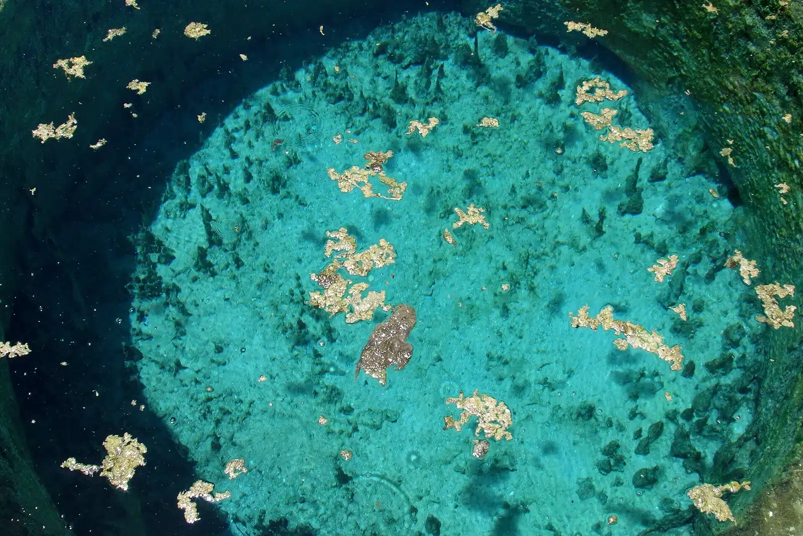 Cleopatra Spring Siwa circular stone pool with clear blue water