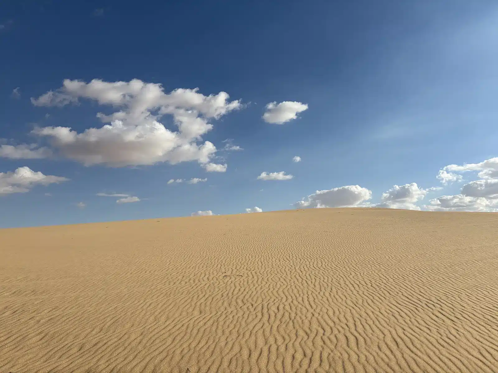 Smooth golden dunes under blue sky in Siwa's Great Sand Sea