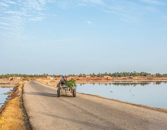 Siwa Oasis Tour Cost from Cairo: 2026 Price Guide