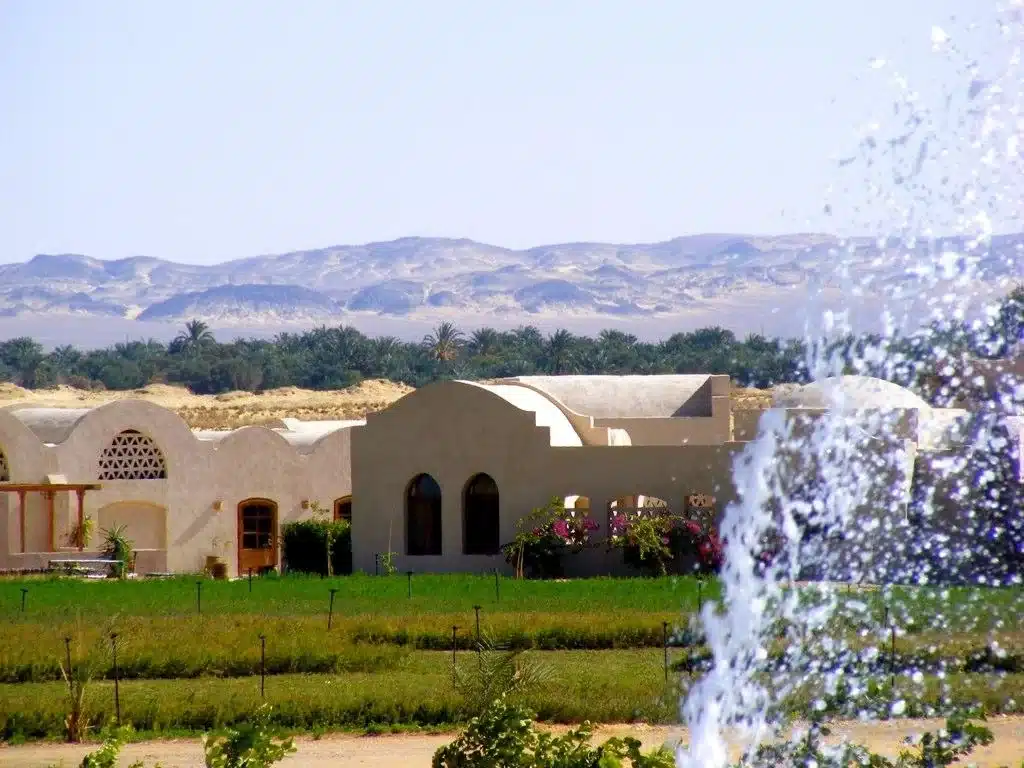 Tzila Bahariya gardens and farmland