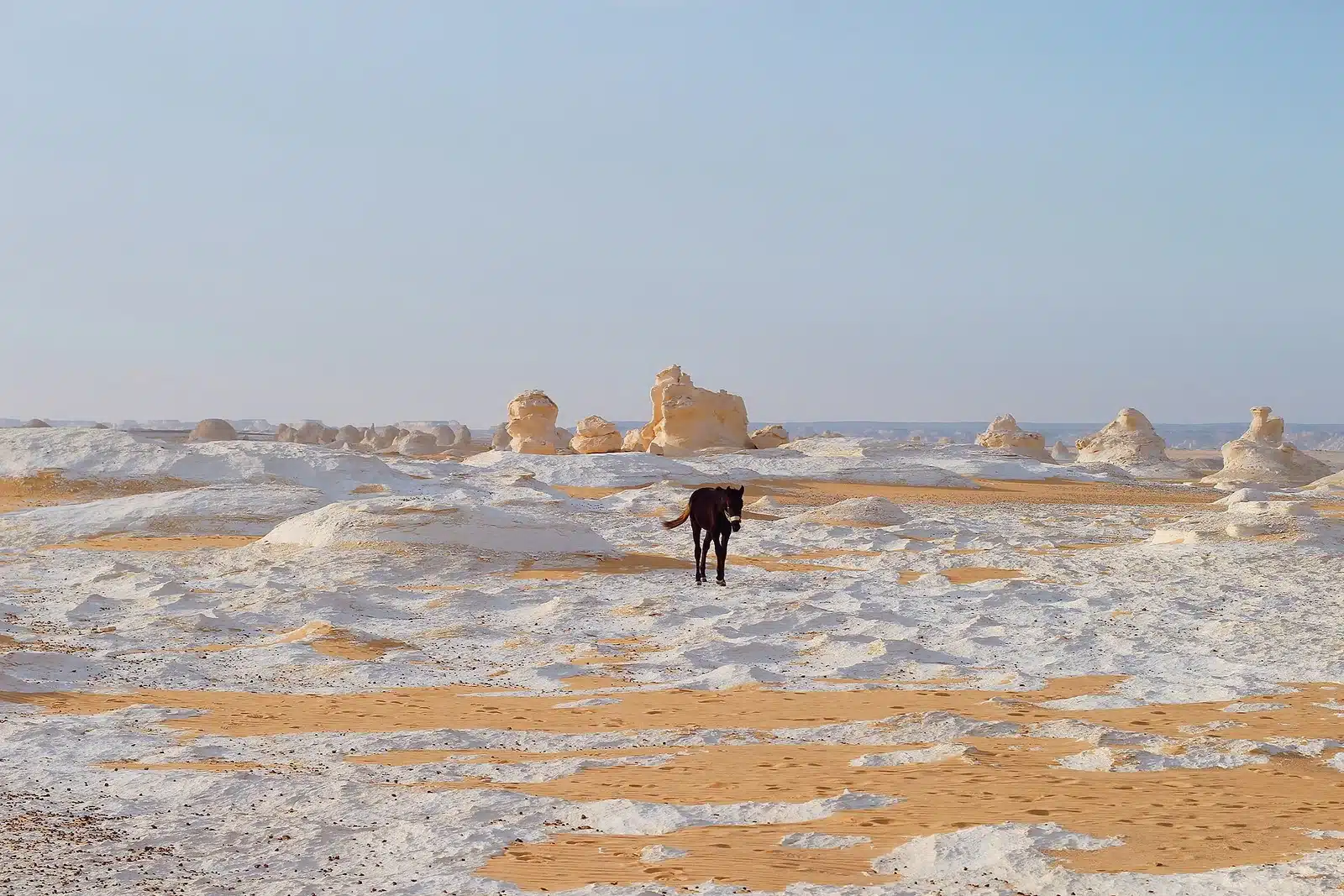 Remote White Desert National Park landscape near camp