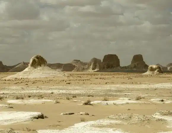 White Desert Egypt: Complete Camping & Safari Guide (2026)