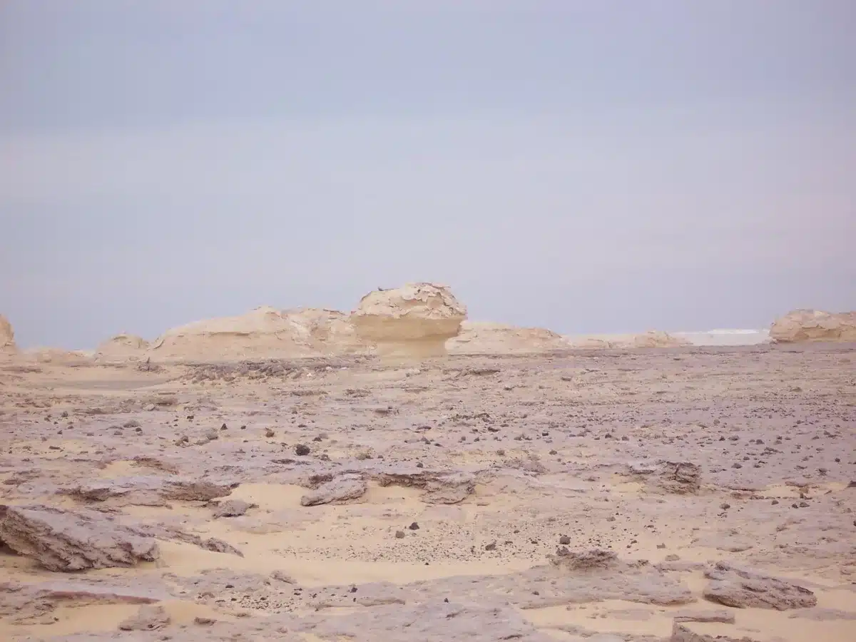White Desert Egypt family safety and private tour