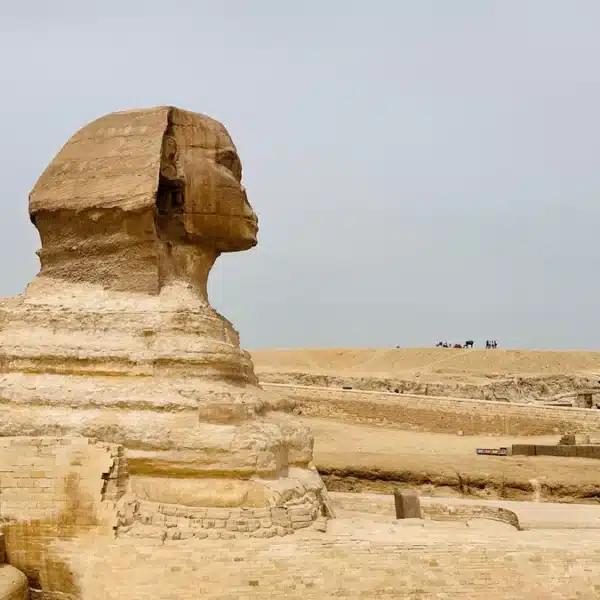 Side profile of the Great Sphinx across the Giza desert