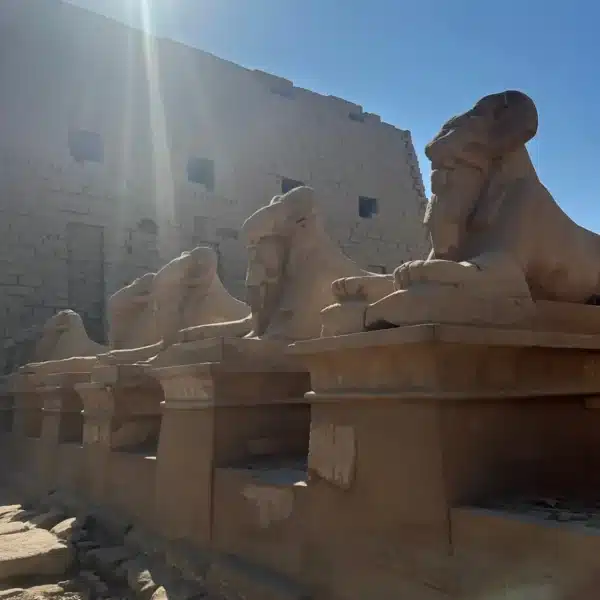 Sphinx statues at Karnak Temple on a Luxor day trip from Hurghada