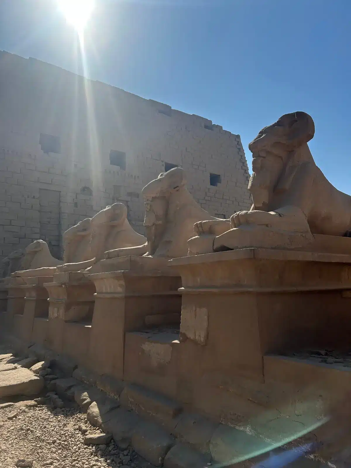 Sphinx statues at Karnak Temple on a Luxor day trip from Hurghada