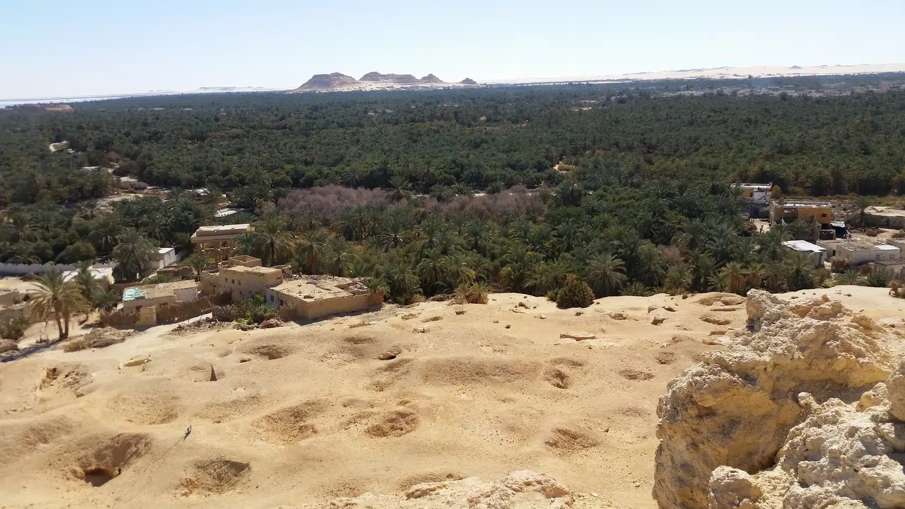 Palm trees and desert landscape in Siwa Oasis Egypt