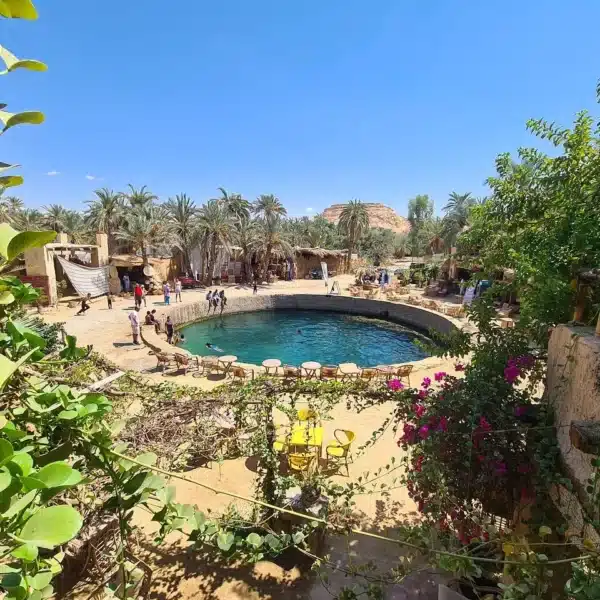 Cleopatra Spring surrounded by palms and gardens in Siwa Oasis