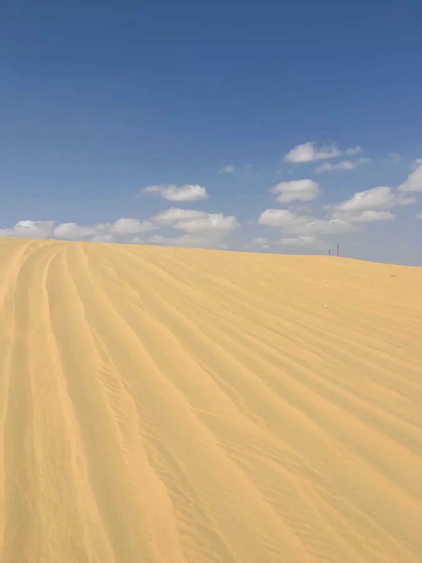 Golden sand dunes under a blue sky during a Fayoum desert safari