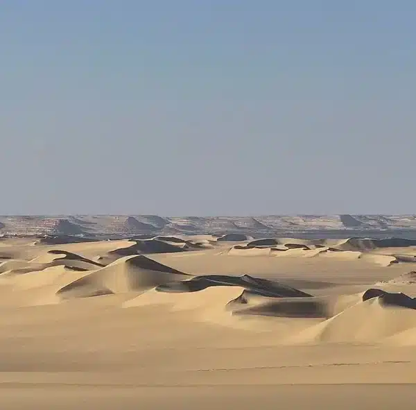 Wide panorama of rolling dunes in the Great Sand Sea near Siwa
