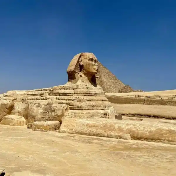 Close view of the Great Sphinx at Giza during the Cairo part of a Siwa tour