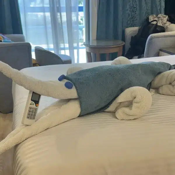 Towel art welcome arrangement inside a Nile cruise cabin