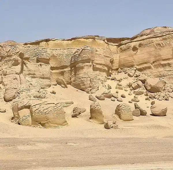 Ancient whale fossils in the desert landscape of Wadi Al-Hitan