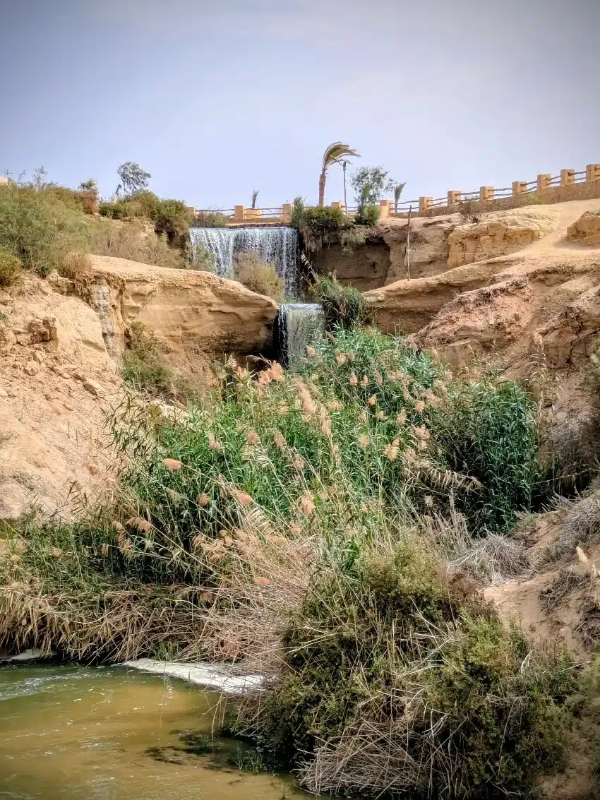Reeds and desert vegetation beside a Wadi El Rayan waterfall